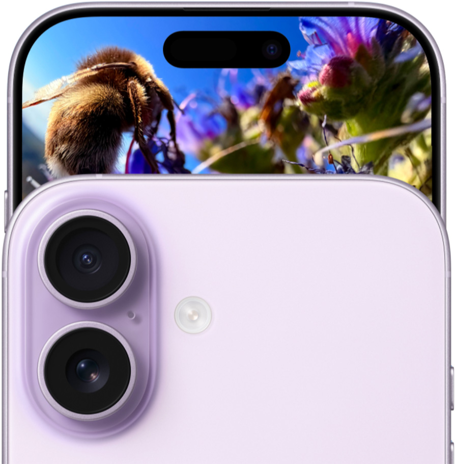 „iPhone 17“ iš priekio su „Dual Fusion“ kamerų sistema, nugarėlė, levandų spalvos.