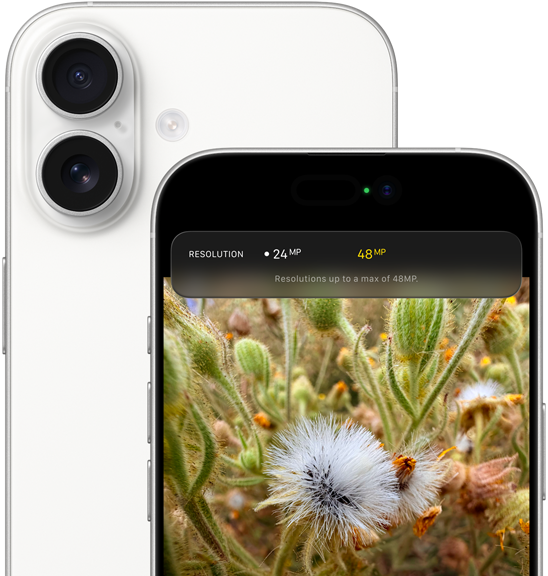 „iPhone 17“, nugarėlė, užapvalinti kampai, „Dual Fusion“ kamerų sistema viršutiniame kairiajame kampe, baltos spalvos, priekis, „Dynamic Island“, užapvalinti kampai
